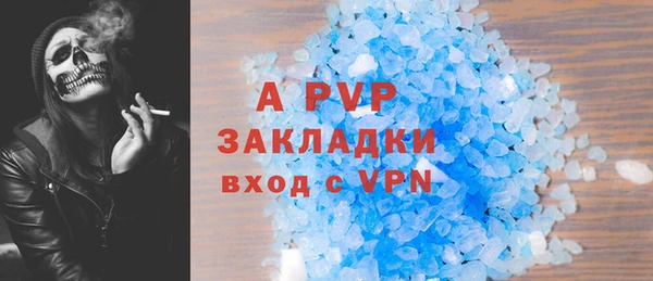 сатива Баксан